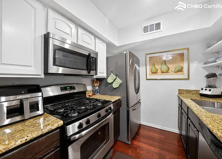 Gas stove and oven
