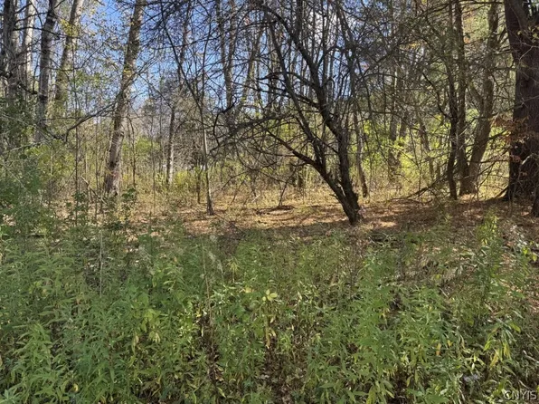 4755 Fay Hollow Rd Lot 5, Great Valley, NY 14741