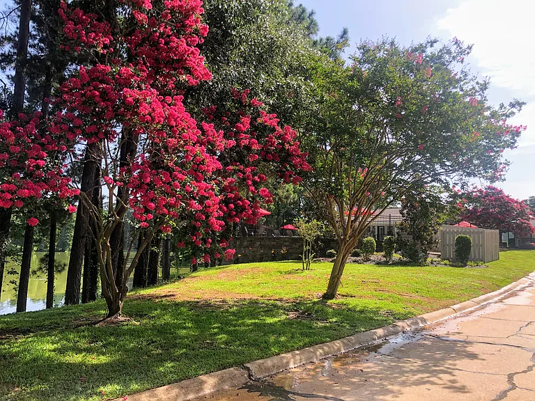 Lush Landscaping