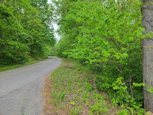 0 Shortcut Dr #1, Woolwine, VA 24185