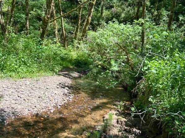 Foss Rd, Nehalem, OR 97131