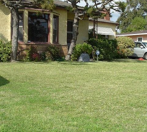 Frontyard