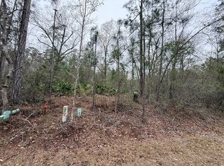 V/l Satilla River Lndg Lot 104, Woodbine, GA 31569