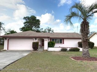 11073 Norvell Rd, Spring Hill, FL 34608