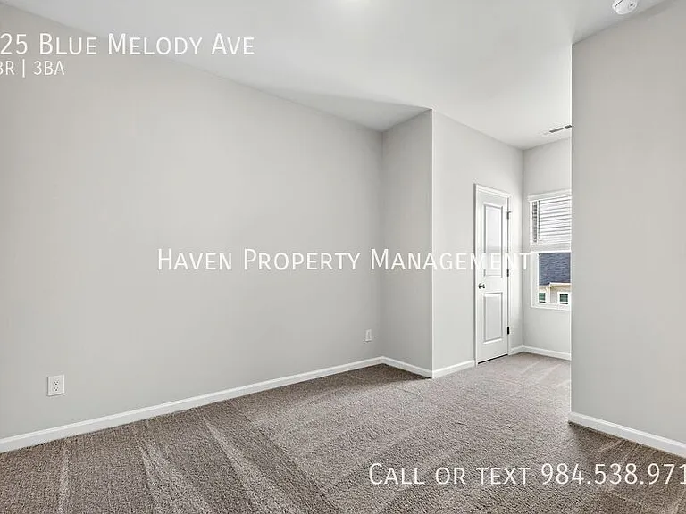 125 Blue Melody Ave — Photo 18
