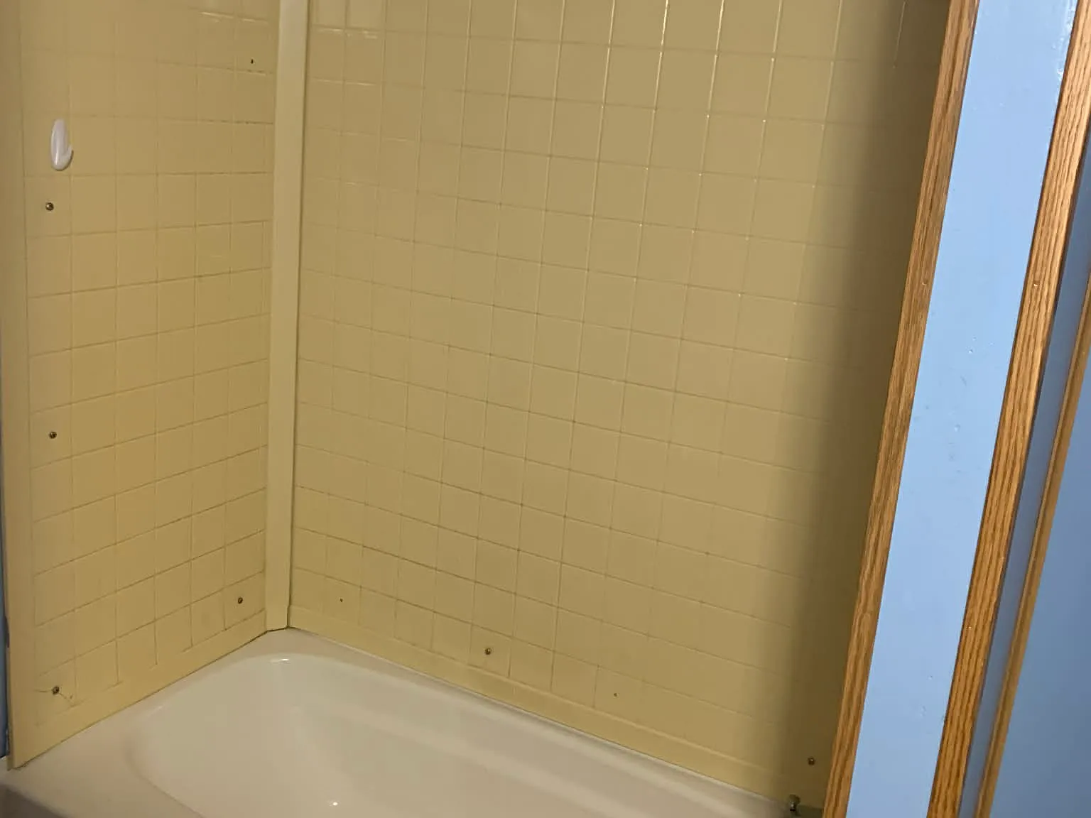 2 bed, $900 — Photo 2