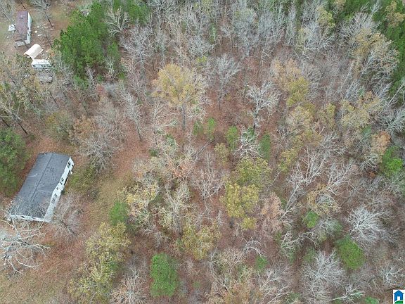 4th image of 393 Siler Rd