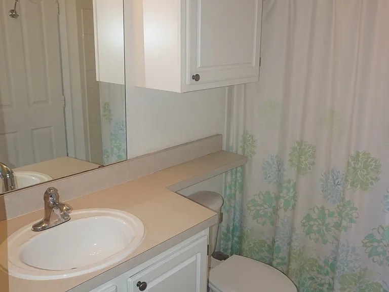 1100 Lake Shadow Cir #2307 — Photo 5