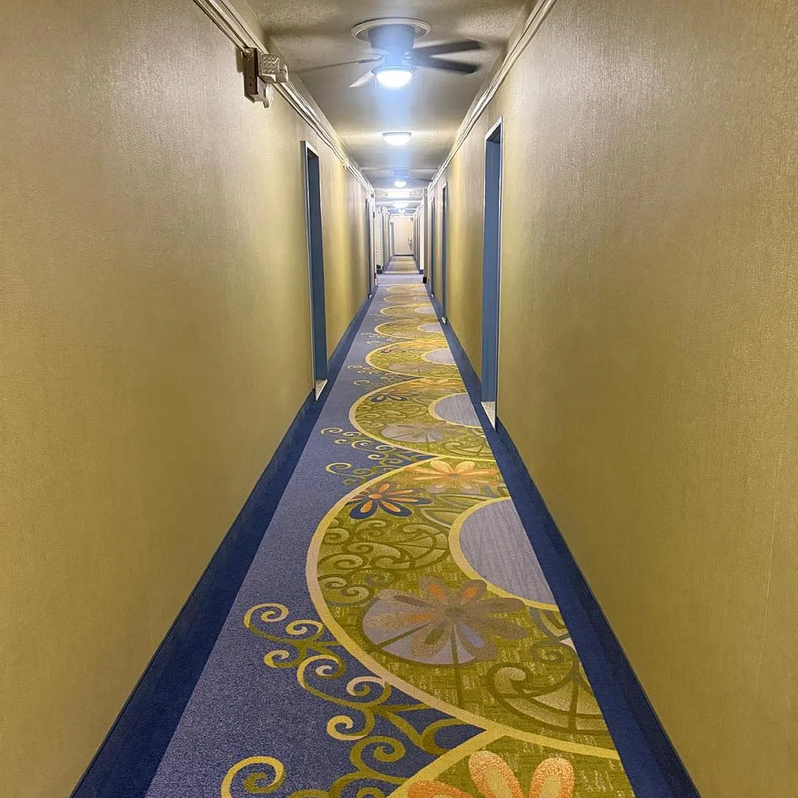 1 bed, 1.0 bath, 700 sqft, $2,850 — Photo 4
