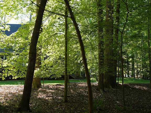 As viewed from back yard.