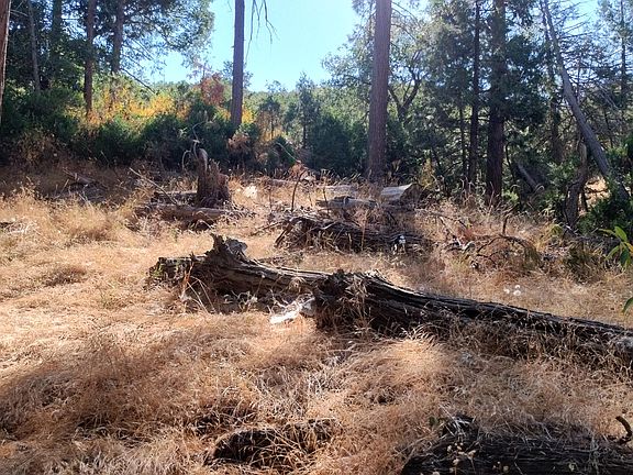 4th image of 00 Mariposa Drive