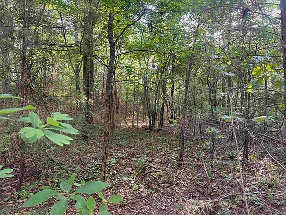 3rd image of 1885 County Road 2342