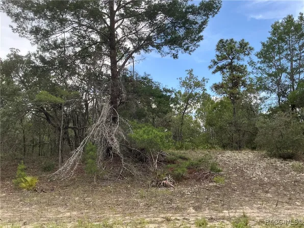 6378 W Settler Dr, Beverly Hills, FL 34465