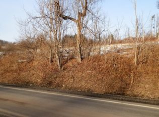 Ouleout Rd, North brookfield, NY 13418