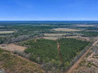 4 Reddish Rd, Odum, GA 31555