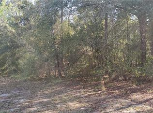 10257 N Gardner Way, Citrus Springs, FL 34434