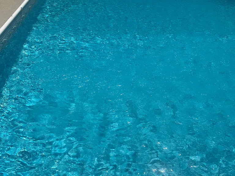 Pool in a completely fenced back yard with storage shed