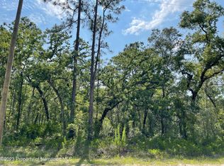 18043 Nighthawk Rd, Weeki Wachee, FL 34614