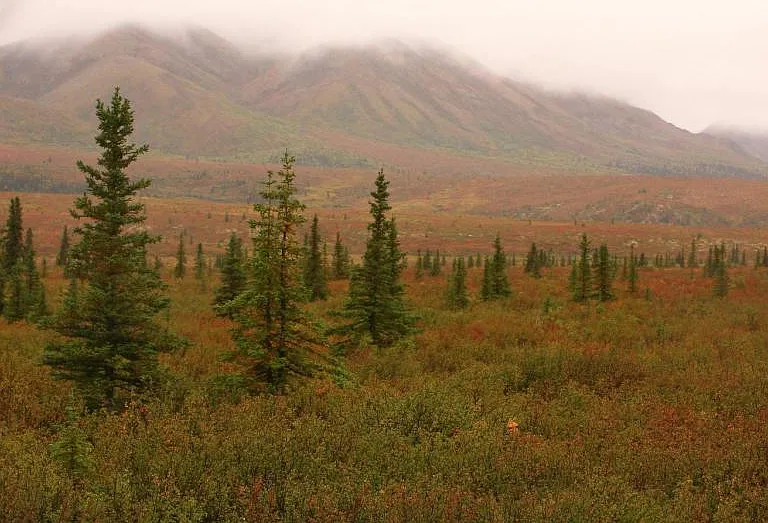 North Haven Communities Fort Wainwright — Photo 11