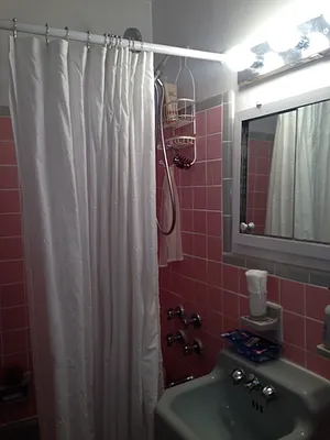 Rented by Eric Goodman Realty Corp | media 9