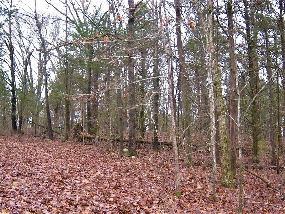 2nd image of 445 Falling Star Rd