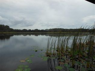 21523 Mangold Ln, Land O Lakes, FL 34638