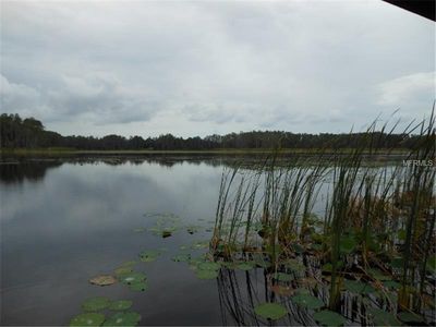 21523 Mangold Ln, Land O Lakes, FL, 34638