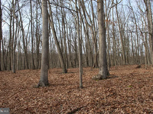 Whispering Pines Rd, Slanesville, WV 25444