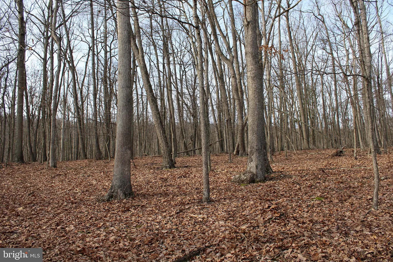 Whispering Pines Rd photo 1