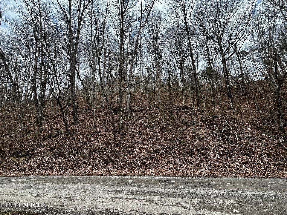 2nd image of 0 Paint Rock Rd