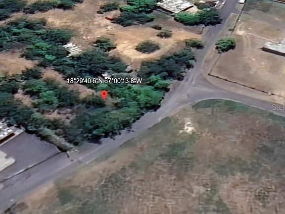 2nd image of Bo Guayabo