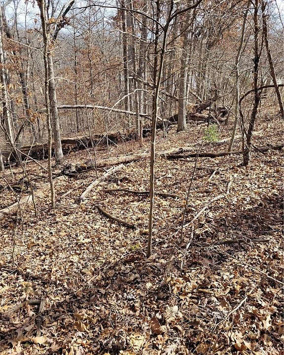 2nd image of Cullen Hills Dr #7