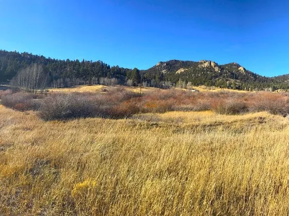 31 Pejn Path, Lake George, CO 80827