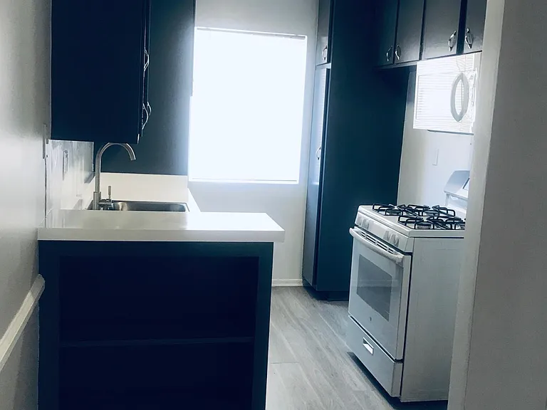 11133 Aqua Vista St #202 — Photo 7