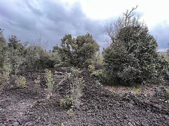 4th image of Leilani Pkwy Lot 11