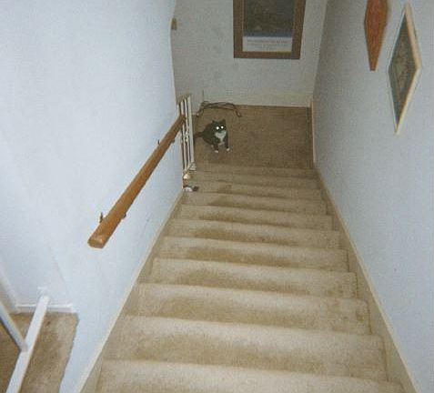 3rd image of 4410 T C Jester Blvd APT 7