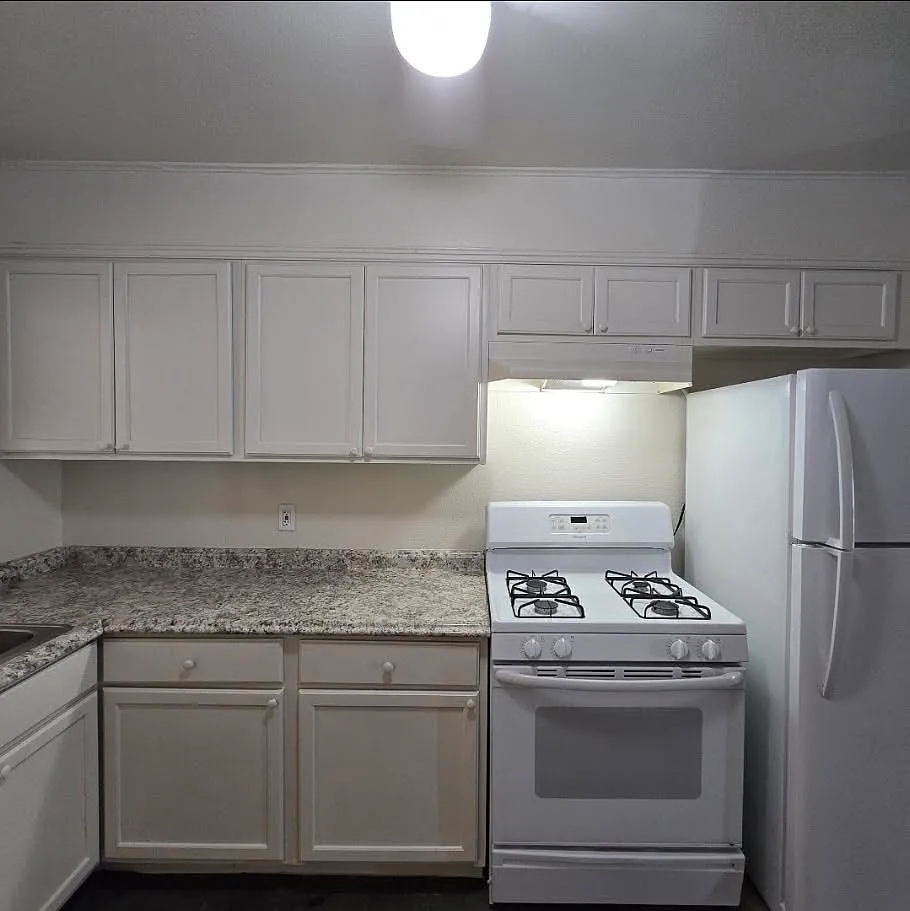 Studio, $900 — Photo 4