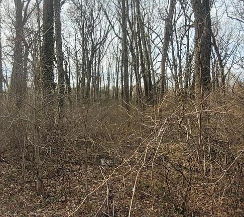 5th image of Mayo Rd