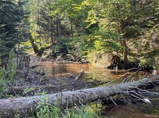 Tbd Sunken Lake Rd, Seney, MI 49883