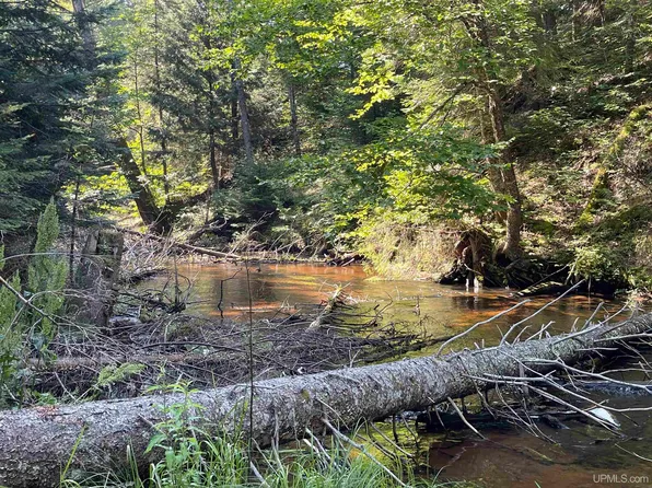 Tbd Sunken Lake Rd, Seney, MI 49883