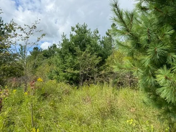 Townline Ln, Cheboygan, MI 49721