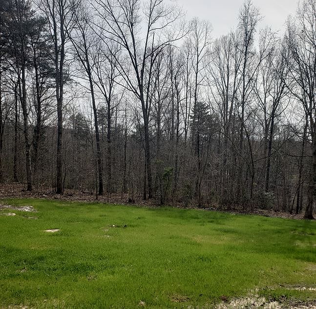 2nd image of 2403 Little Mountain Rd