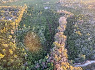 0 Sams Trl, Hortense, GA 31543