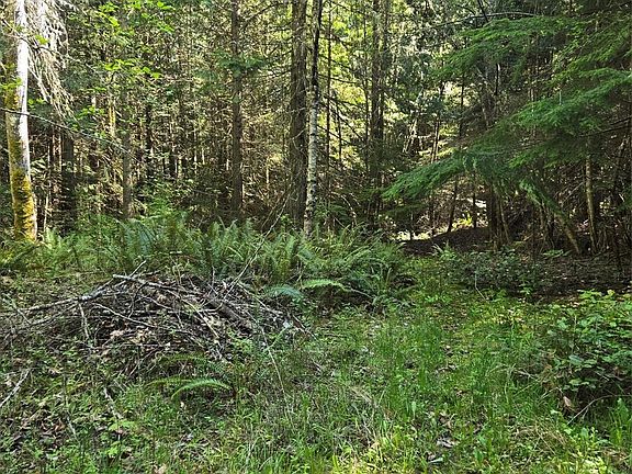 4th image of 146 Humble Hill Road