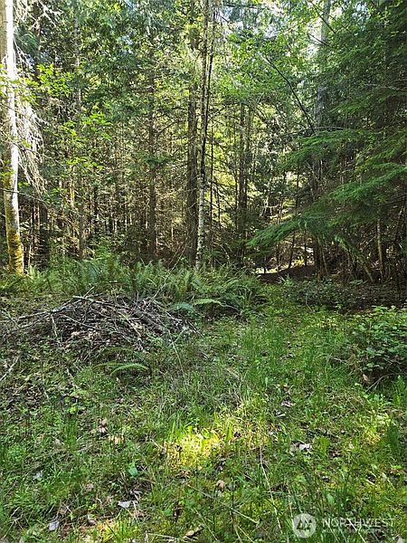 4th image of 146 Humble Hill (Parcels 2 & 3) Road