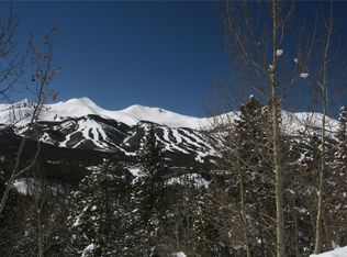 56 Page Ln, Breckenridge, CO 80424