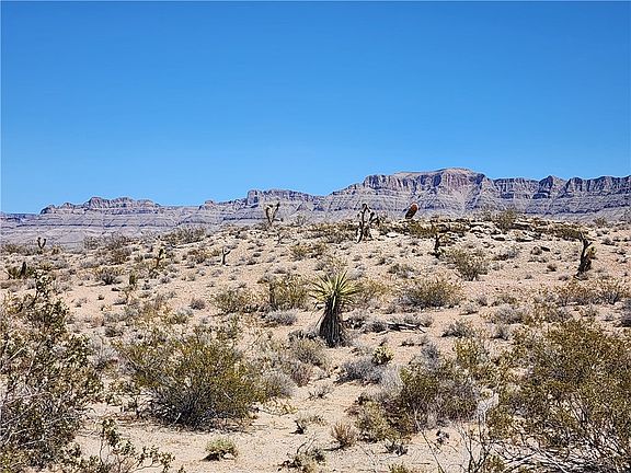 4th image of 30804 N Escalante Boulevard
