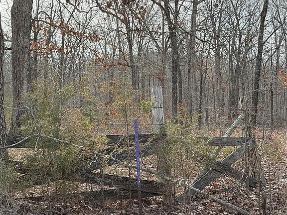 3rd image of 0 Gobblers Knob Rd