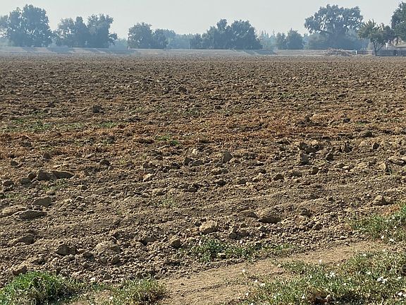 5th image of 37795 County Road 17