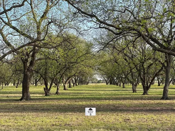 County Road 461, De Leon, TX 76444